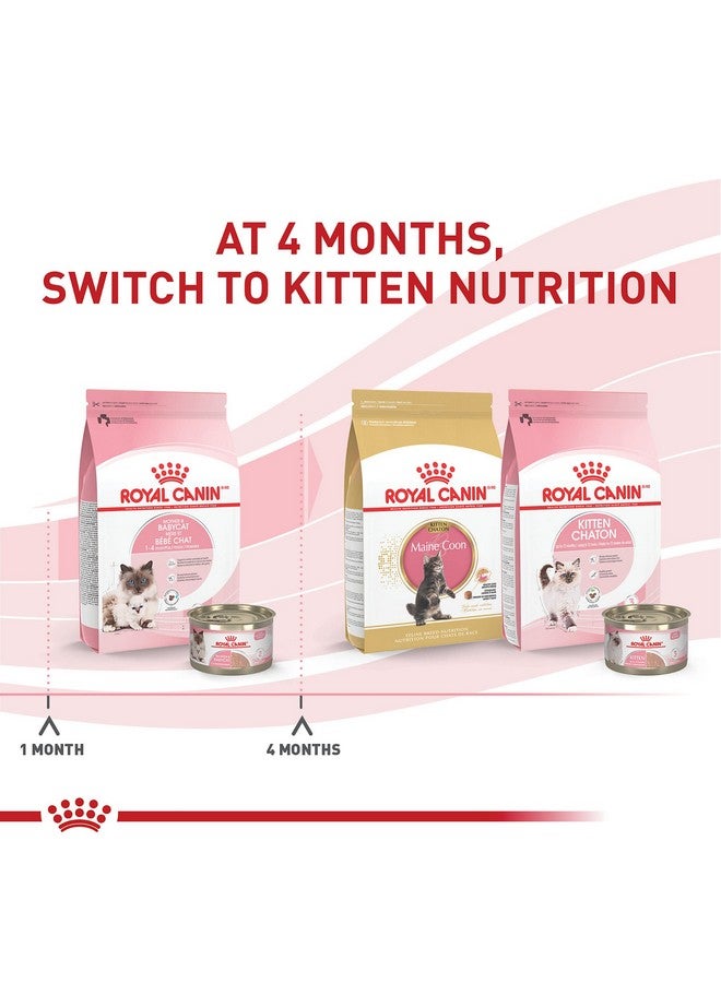 رويال كانين طعام القطط الجاف من رويال كانين فيلين هيلث نيوتريشن للأم والطفل، كيس 3 أرطال - Image 4