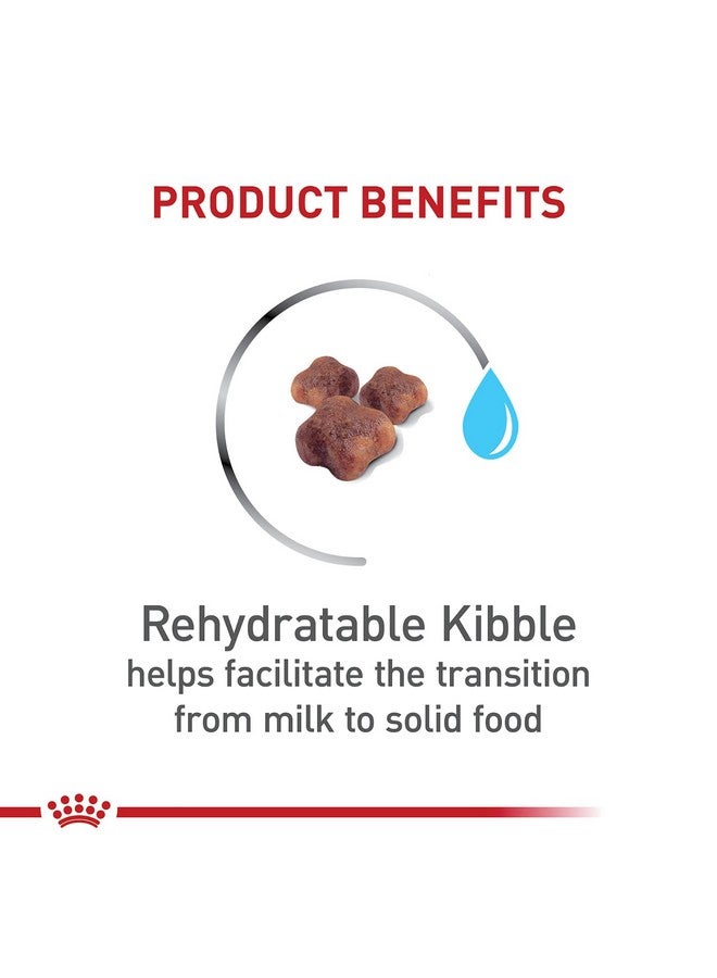 رويال كانين طعام القطط الجاف من رويال كانين فيلين هيلث نيوتريشن للأم والطفل، كيس 3 أرطال - Image 2