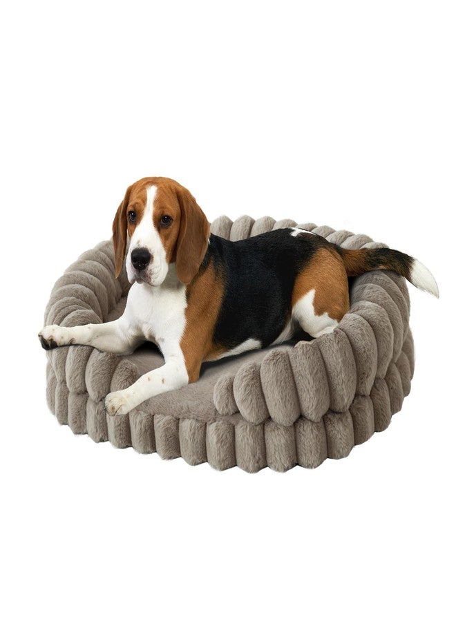 بالنس سرير BALANCE المهدئ للكلاب متوسطة الحجم، سرير بيضاوي قابل للغسل للحيوانات الأليفة مقاس 30 بوصة مع جوانب، أريكة تقويمية للحيوانات الأليفة بقاعدة مانعة للانزلاق، لون الشوفان - Image 1
