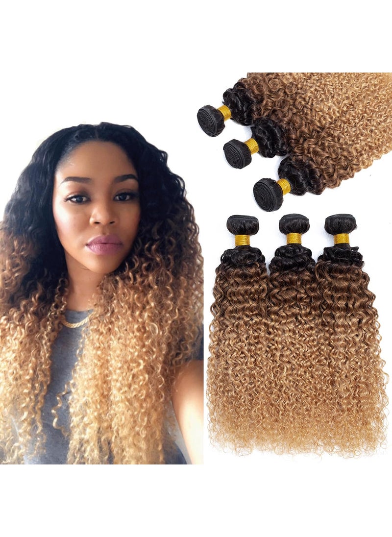 ROYAL IMPRESSION 12A Ombre Bundles Human Hair T1B302716 16 16 Ombre Curly 3 Bundles Human Hair 100 Unprocessed Virgin Brazilian Ombre Kinky Curly Human Hair Weave Bundles 