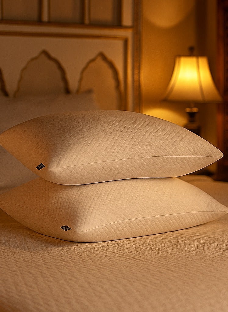 مجموعة وسادة ممتازة من قطعتين مع رغوة ملء إضافية وغطاء قابل للغسيل - 43x33x11cm دعم ناعم للغاية - Image 1