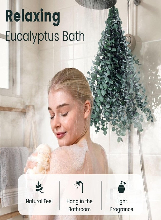 دوم ستار مجموعة دومستار من 16 غصنًا من الأوكالبتوس المجفف الطبيعي للاستحمام، بطول 16-17 بوصة، مثالية للاسترخاء وتخفيف التوتر في الحمام أو المنتجع الصحي، كما يمكنك صنع إكليل معلق من النباتات الخضراء لتزيين جدران المنزل أو حفلات الزفاف أو أعياد الميلاد. - Image 2