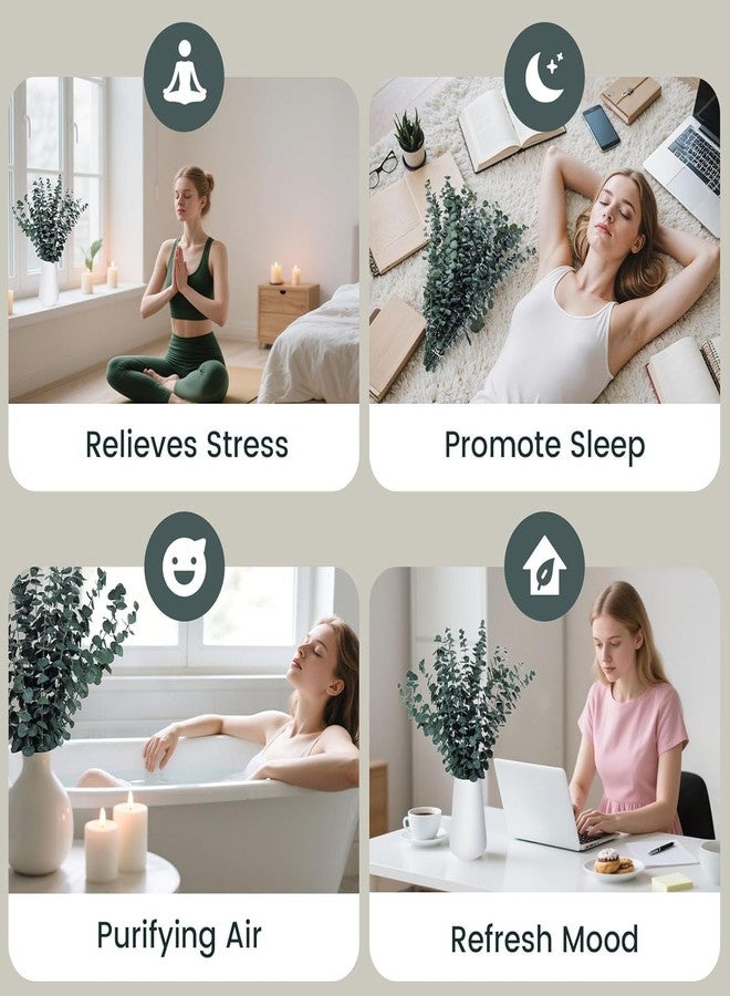 دوم ستار مجموعة دومستار من 16 غصنًا من الأوكالبتوس المجفف الطبيعي للاستحمام، بطول 16-17 بوصة، مثالية للاسترخاء وتخفيف التوتر في الحمام أو المنتجع الصحي، كما يمكنك صنع إكليل معلق من النباتات الخضراء لتزيين جدران المنزل أو حفلات الزفاف أو أعياد الميلاد. - Image 3