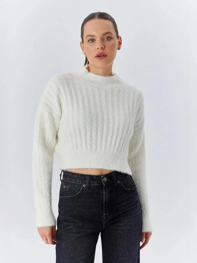 MixRay Mixray Cable Knit Pattern Crop Sweater