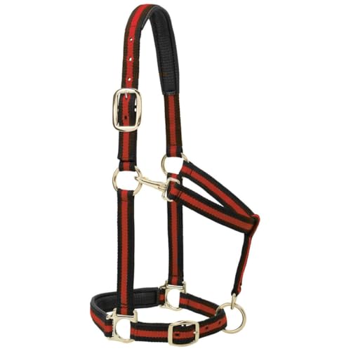 Weaver Leather Nylon Horse Halter, Padded and Adjustable, Chin and Throat Snap Hook Halters for Horses, Brass Plated Halters for Training - Image 3