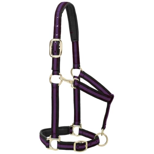 Weaver Leather Nylon Horse Halter, Padded and Adjustable, Chin and Throat Snap Hook Halters for Horses, Brass Plated Halters for Training - Image 4
