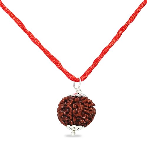 PUSHKARA Natural 7 Mukhi Rudraksha Certified - Nepal | Brown - Astrological Benefits - Unisex Pendants - Positive Energy for Men & Women - Image 3