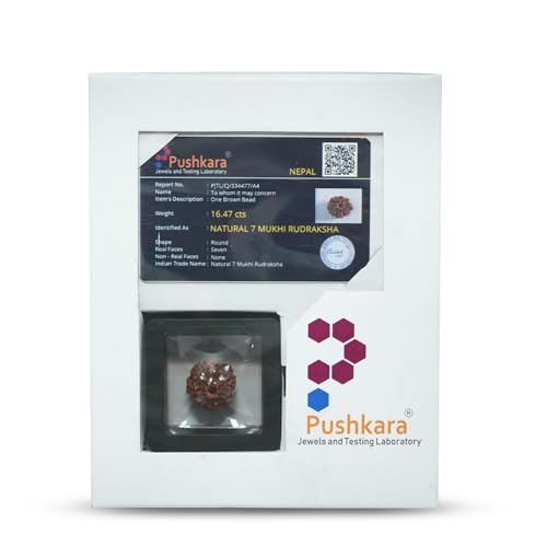 PUSHKARA Natural 7 Mukhi Rudraksha Certified - Nepal | Brown - Astrological Benefits - Unisex Pendants - Positive Energy for Men & Women - Image 2