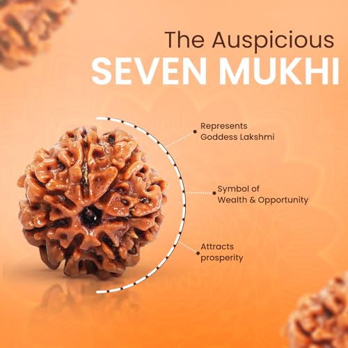 PUSHKARA Natural 7 Mukhi Rudraksha Certified - Nepal | Brown - Astrological Benefits - Unisex Pendants - Positive Energy for Men & Women - Image 4