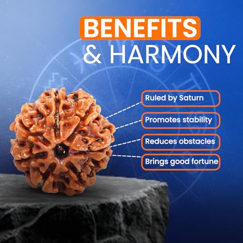 PUSHKARA Natural 7 Mukhi Rudraksha Certified - Nepal | Brown - Astrological Benefits - Unisex Pendants - Positive Energy for Men & Women - Image 5