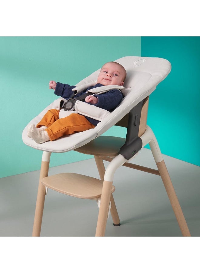 Bugaboo مجموعة حديثي الولادة من بوجابو جيراف - رمادي إعصار - Image 3