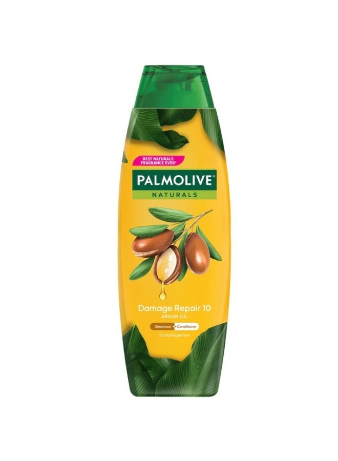 Palmolive Damage Repair Argan Oil Shampoo 180ml - Image 1