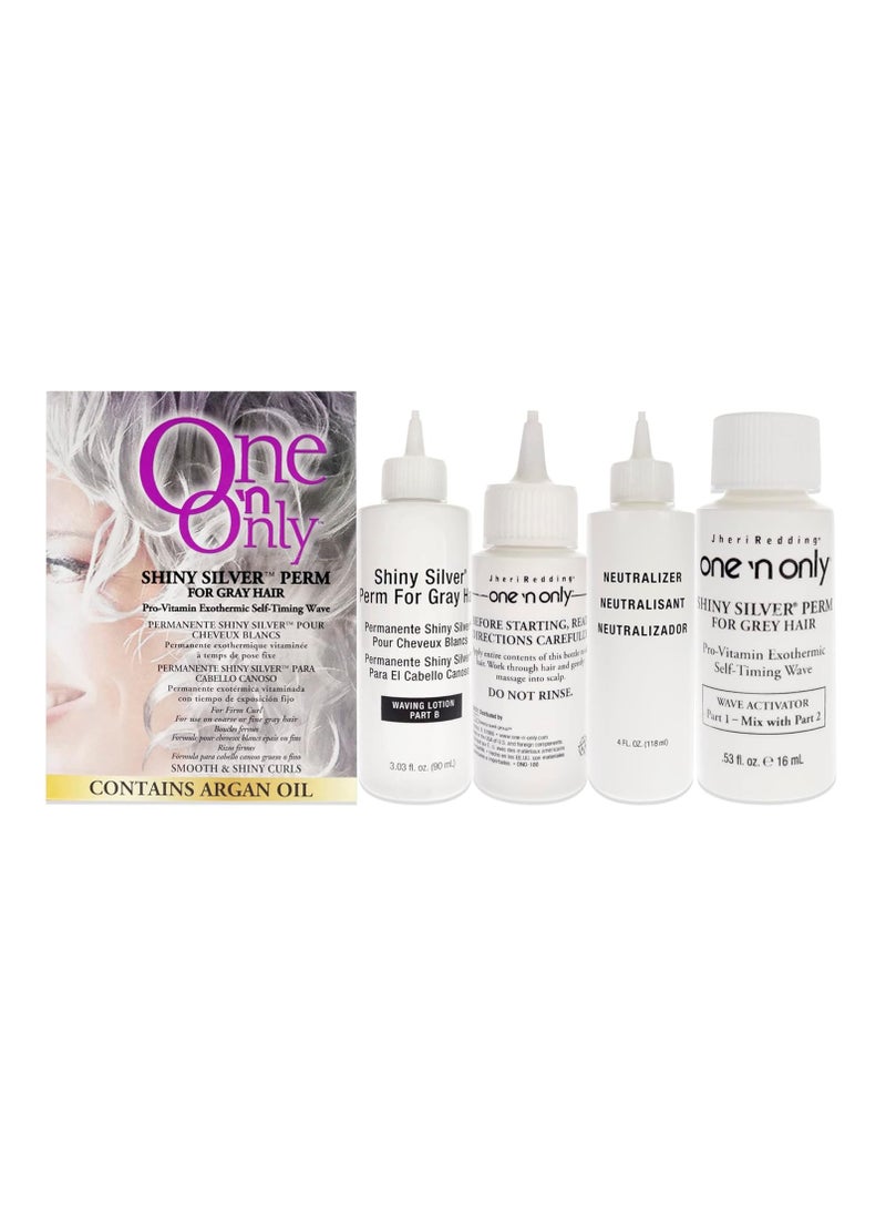 One N Only - One n Only Shiny Silver Perm Treatment Unisex 1 Pc - Image 1