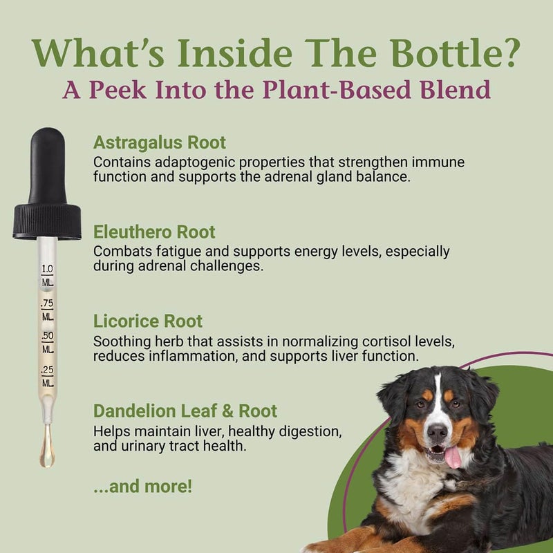 PetAlive Cushex Drops-S, Adrenal Gland Balance Herbal Pet Supplement, 2fl oz., 59ML - Image 4