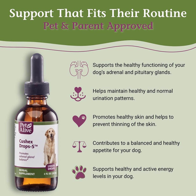 PetAlive Cushex Drops-S, Adrenal Gland Balance Herbal Pet Supplement, 2fl oz., 59ML - Image 3