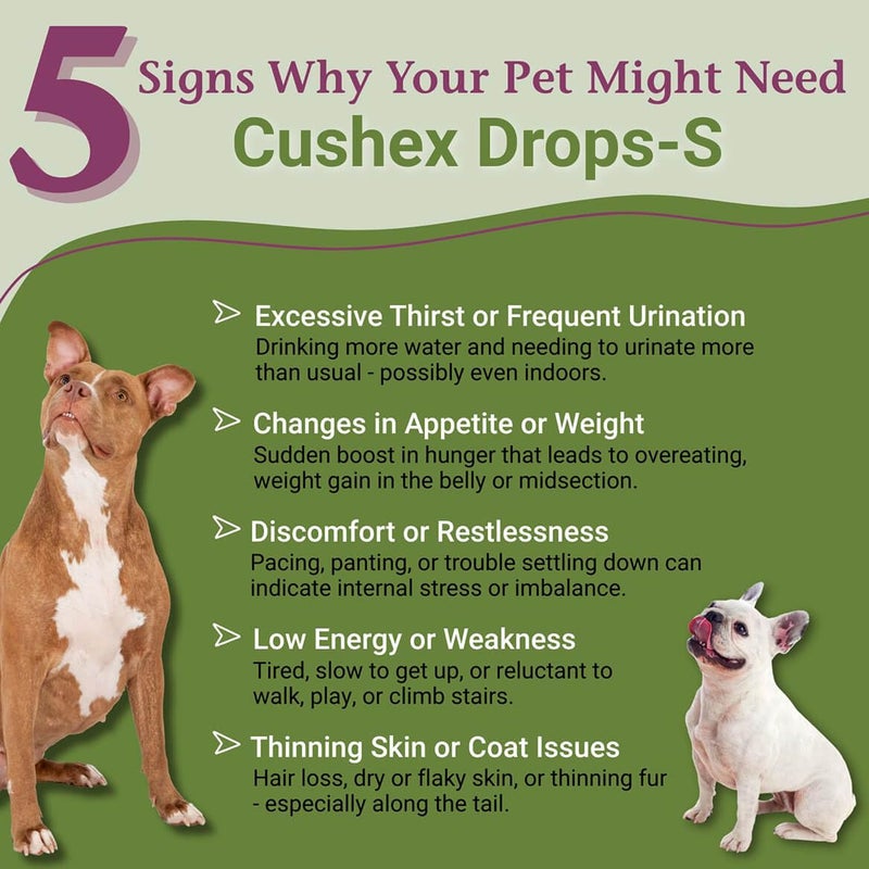 PetAlive Cushex Drops-S, Adrenal Gland Balance Herbal Pet Supplement, 2fl oz., 59ML - Image 2