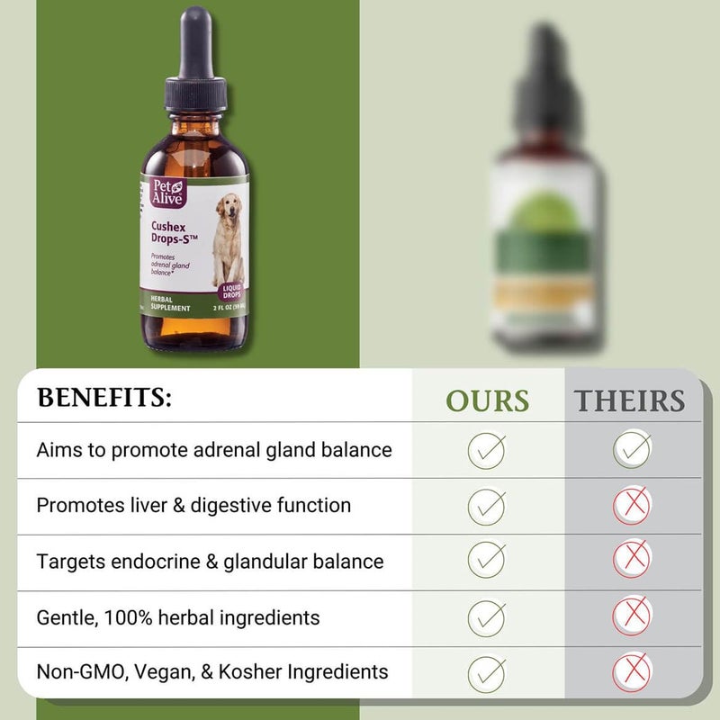 PetAlive Cushex Drops-S, Adrenal Gland Balance Herbal Pet Supplement, 2fl oz., 59ML - Image 5