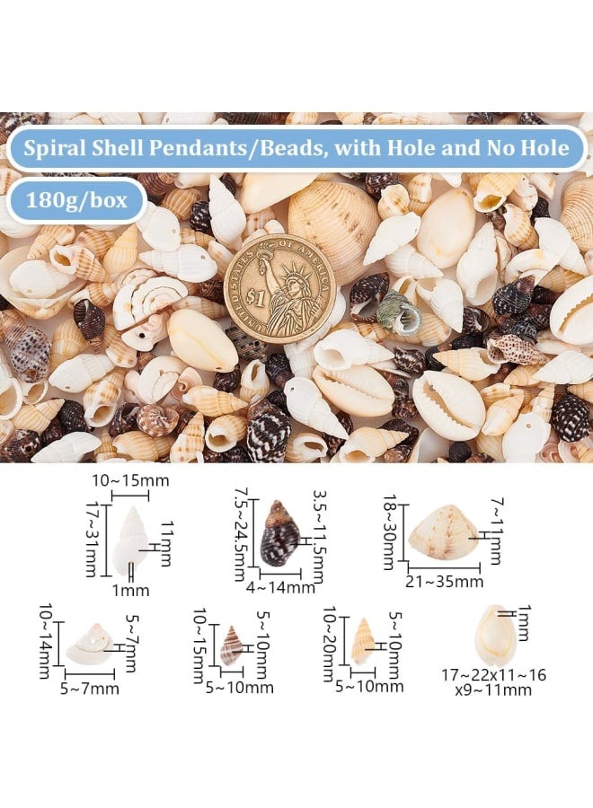 Elite about 180g Tiny Sea Shell Ocean Beach Spiral Seashells Craft Charms for Candle Making, Home Decoration, Beach Theme Party Wedding Decor, Fish Tank and Vase Filler  - Image 2