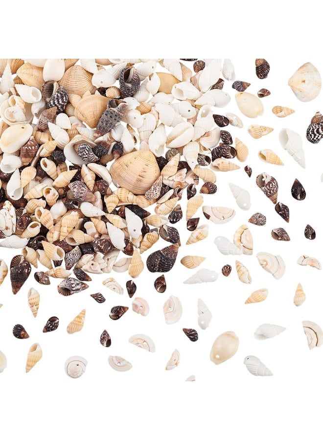 Elite about 180g Tiny Sea Shell Ocean Beach Spiral Seashells Craft Charms for Candle Making, Home Decoration, Beach Theme Party Wedding Decor, Fish Tank and Vase Filler  - Image 1