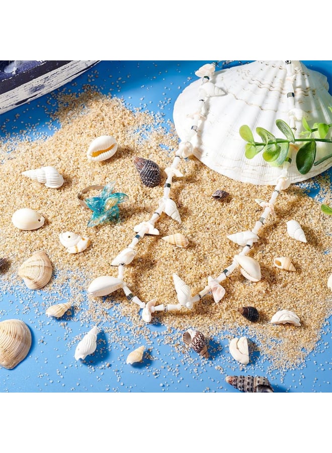 Elite about 180g Tiny Sea Shell Ocean Beach Spiral Seashells Craft Charms for Candle Making, Home Decoration, Beach Theme Party Wedding Decor, Fish Tank and Vase Filler  - Image 5
