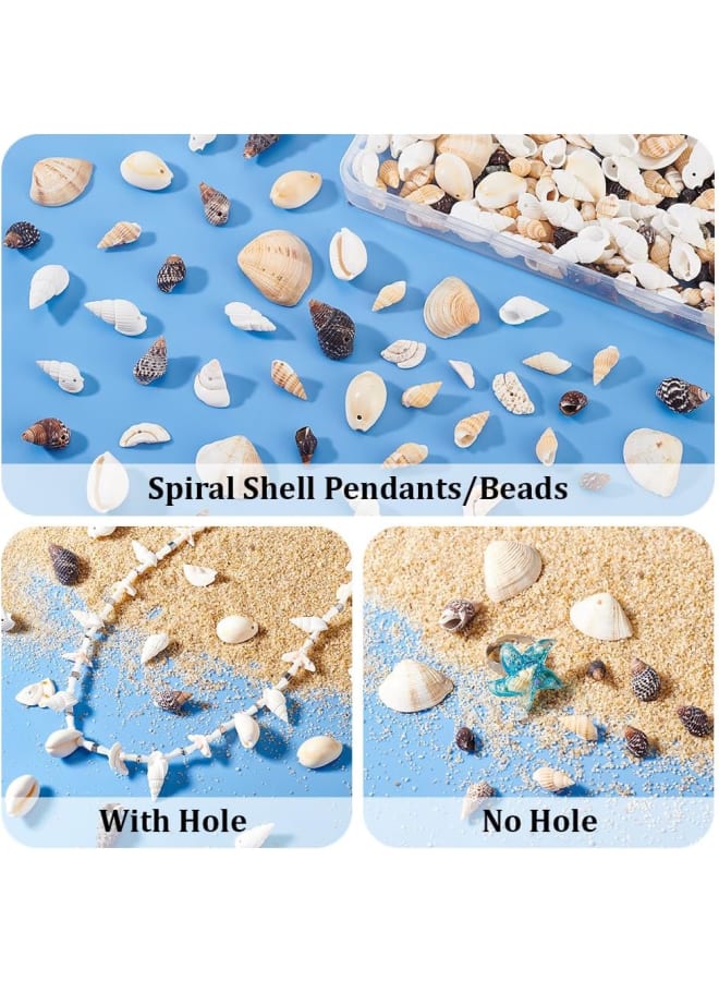Elite about 180g Tiny Sea Shell Ocean Beach Spiral Seashells Craft Charms for Candle Making, Home Decoration, Beach Theme Party Wedding Decor, Fish Tank and Vase Filler  - Image 4