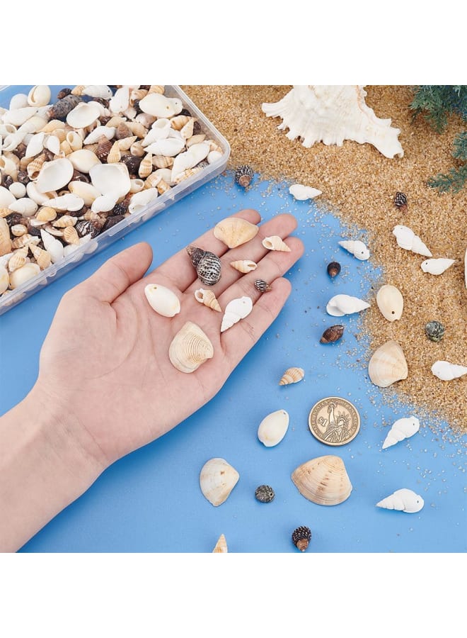 Elite about 180g Tiny Sea Shell Ocean Beach Spiral Seashells Craft Charms for Candle Making, Home Decoration, Beach Theme Party Wedding Decor, Fish Tank and Vase Filler  - Image 3