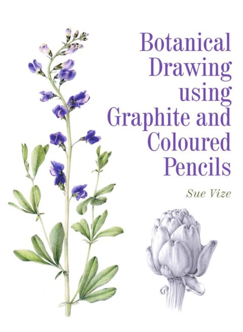 Botanical Drawing using Graphite and Coloured Pencils