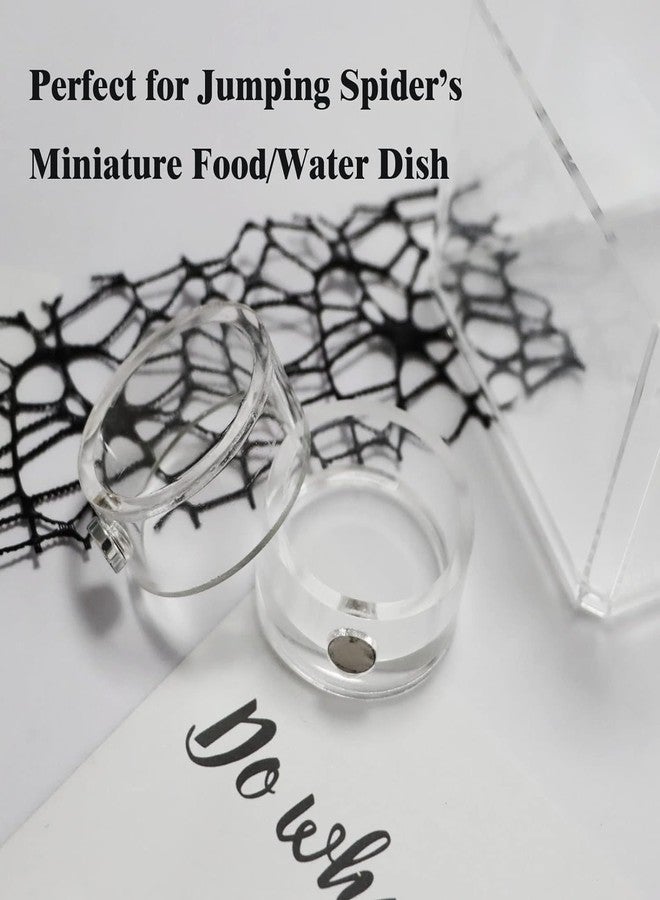 JILINWEI 2Pcs Small Jumping Spider Feeding Dish, Magnetic Tiny Food Dishes Water Dish for Jumping Spider, Tarantula and Other Small Pets,35mm - Image 4