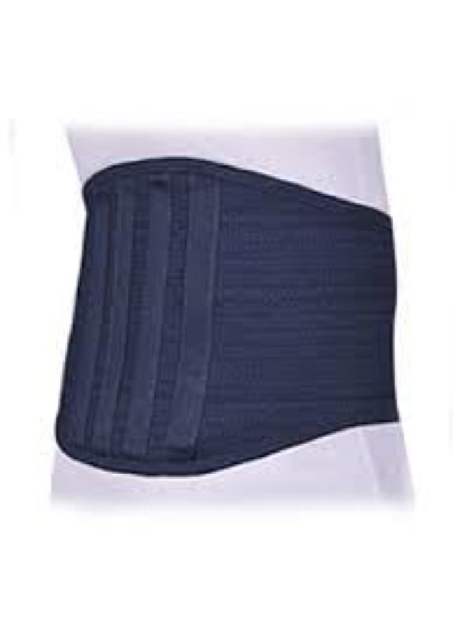 Standard Lumbar & Sacral Spine Support Belt – With 4 Metal Stays & High-Grade Velcro Straps – Cotton-Padded - Image 1