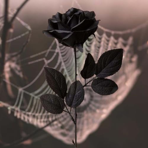 Laelfe 12 PCS Artificial Flowers Black Roses, Fake Silk Flower Long Stem Artificial Rose for Home Wedding Party Decorations(Black Halloween) - Image 3