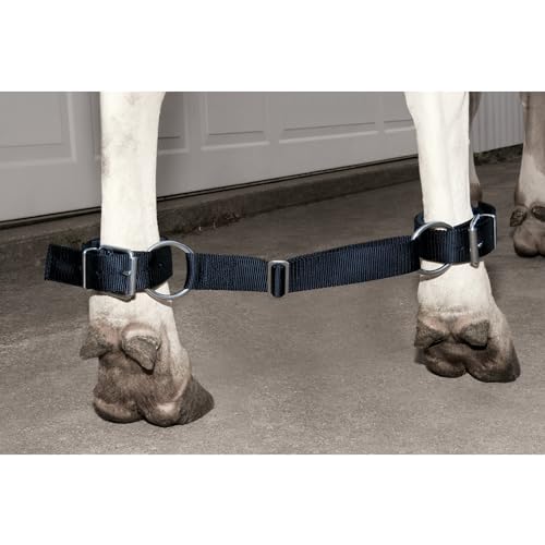 Weaver Leather unisex adult Livestock Deluxe Cow Hobble, Black, Cow US - Image 2