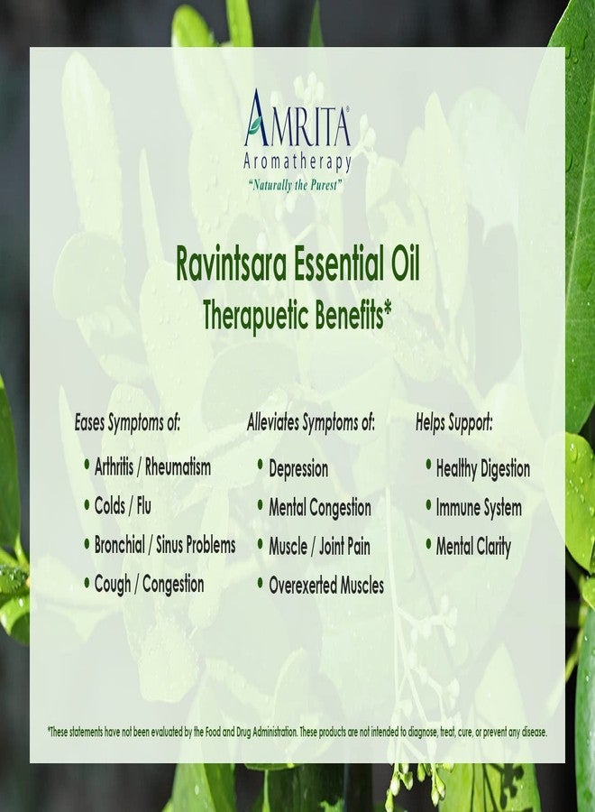 Amrita Aromatherapy Ravintsara (Cinnamomum camphora) Essential Oil, 100% Pure Undiluted Cinnamomum Camphora, Premium Aromatherapy Oil, Tested and Verified, USDA Organic, 10ml - Image 2