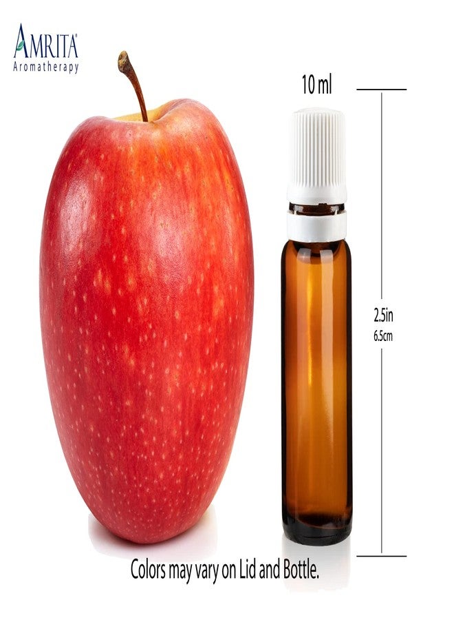 Amrita Aromatherapy Ravintsara (Cinnamomum camphora) Essential Oil, 100% Pure Undiluted Cinnamomum Camphora, Premium Aromatherapy Oil, Tested and Verified, USDA Organic, 10ml - Image 4