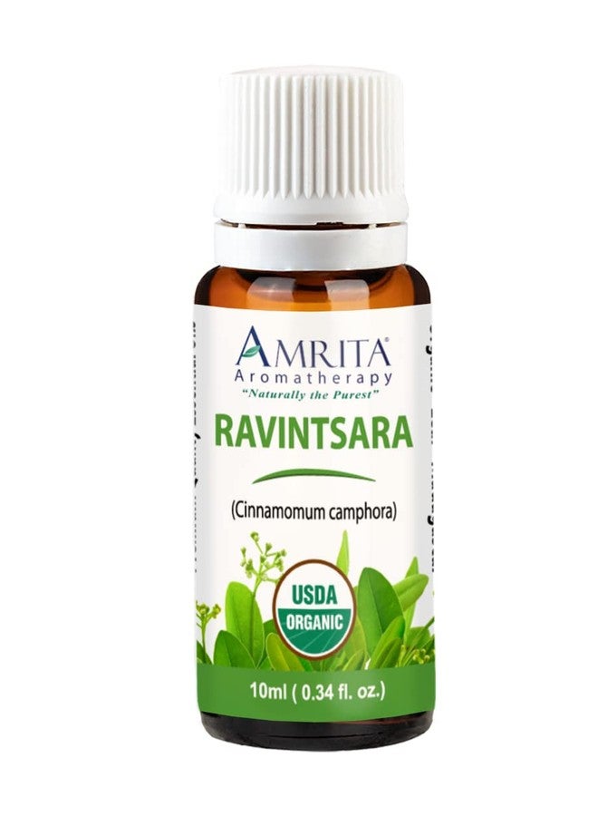 Amrita Aromatherapy Ravintsara (Cinnamomum camphora) Essential Oil, 100% Pure Undiluted Cinnamomum Camphora, Premium Aromatherapy Oil, Tested and Verified, USDA Organic, 10ml - Image 1