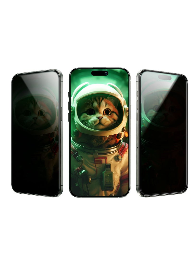GREEN LION - iPhone 16 Pro Max Screen Protector Picasso 3D Privacy Glass with Alignment Tray / Anti-Scratch / Anti-Peeping / Anti Fingerprint / Bubble Free / Crystal Clear / Highly Responsive - Black Edge/Privacy - Image 1