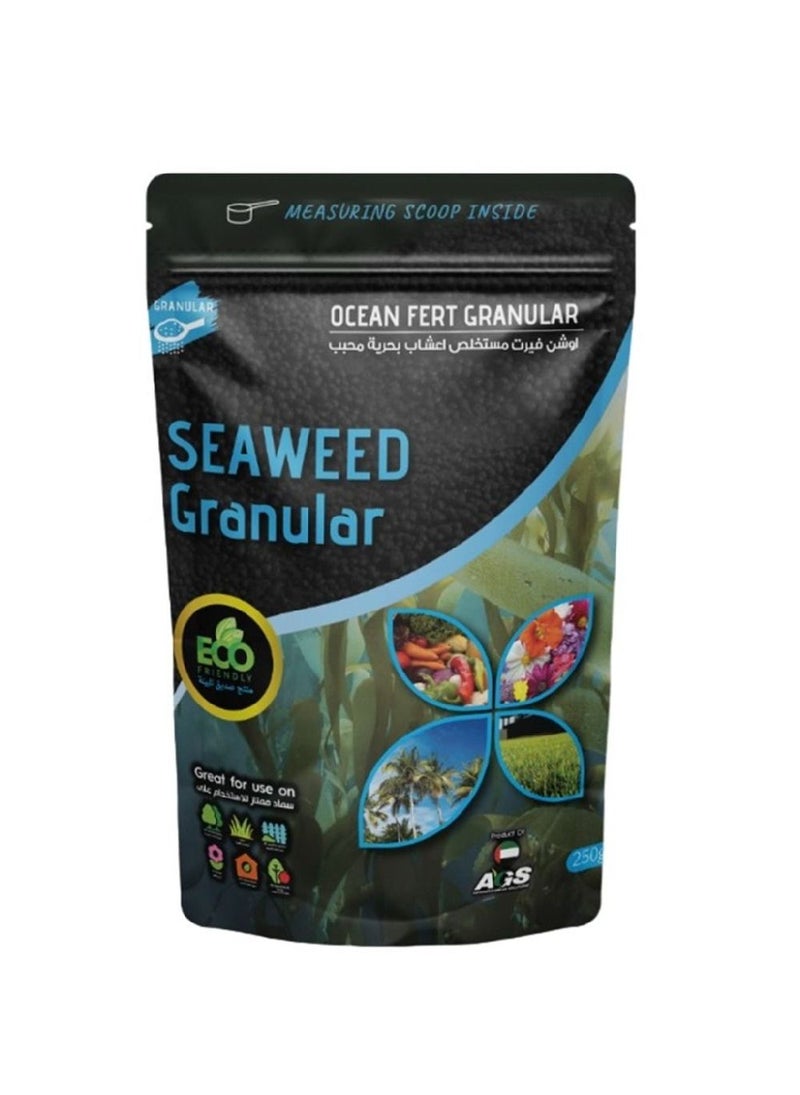 AGS AGS Ocean Seaweed Fertilizer – 250g Granular | Organic Plant Growth Booster with Natural Ocean Minerals  - Image 1