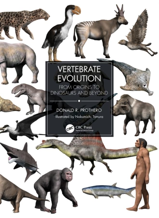 Vertebrate Evolution : From Origins to Dinosaurs and Beyond 