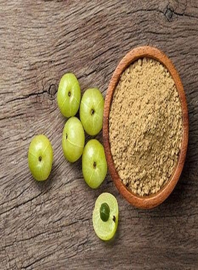 My God Gift Mygodgift Amla Powder for Skin & Hair,Pure Amla Powder For Hair Growth (100g) - Image 3