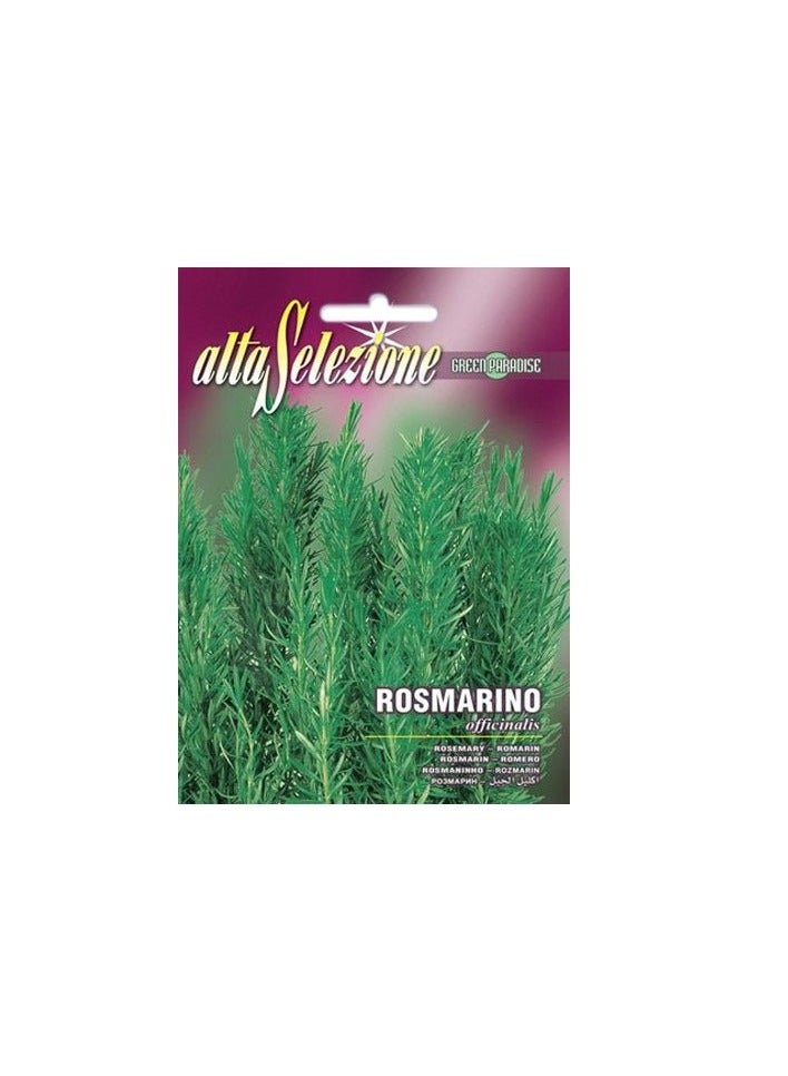 كنب روزماري اوفيسيناليس