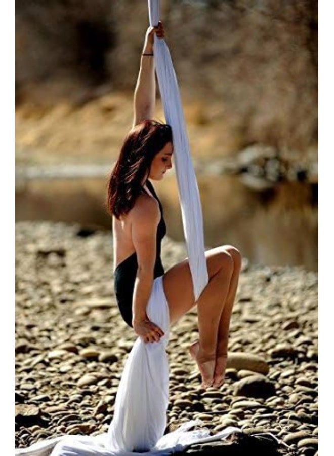Dasking DASKING Premium Aerial Silks Equipment - Safe Deluxe Aerial kit  - Image 1