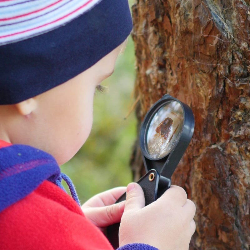 Macarrie 20 Pcs Insect in Resin Bug Preserved Specimen Collection Paperweights Resin Insects Various Insect Specimen for Office Men Women Biology Science Teacher Education Bug Collection Supplies (Butterfly) - Image 5