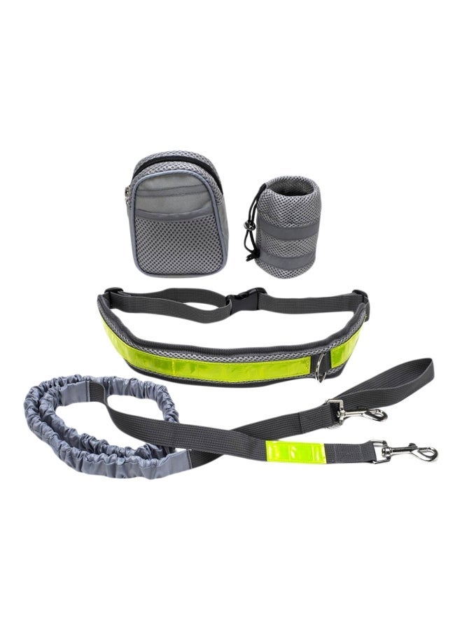 NIBEMINENT 4-Piece Dog Leash With Waist Belt Dispenser Bag And Pouch Set Grey/Green - Image 1