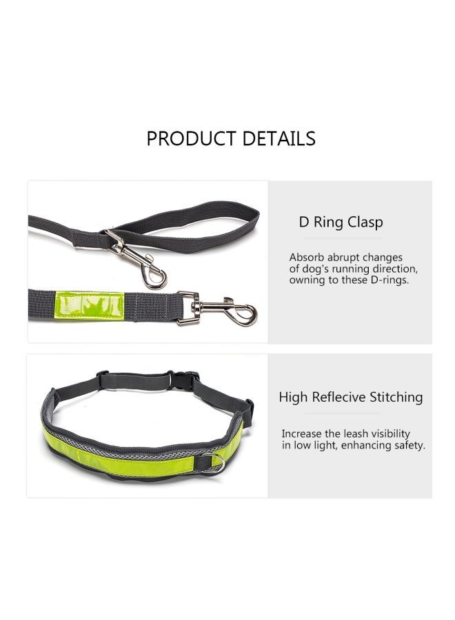 NIBEMINENT 4-Piece Dog Leash With Waist Belt Dispenser Bag And Pouch Set Grey/Green - Image 2