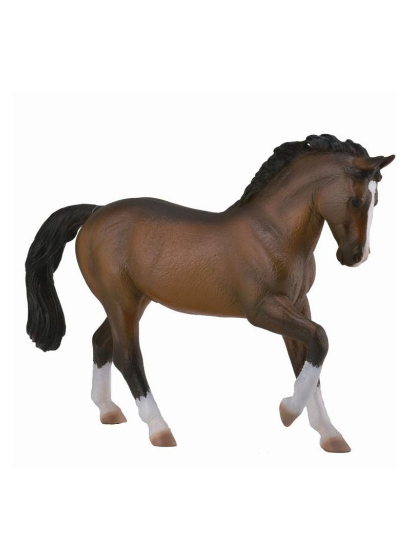 Collecta – Warmblood Stallion – Bay – 88827