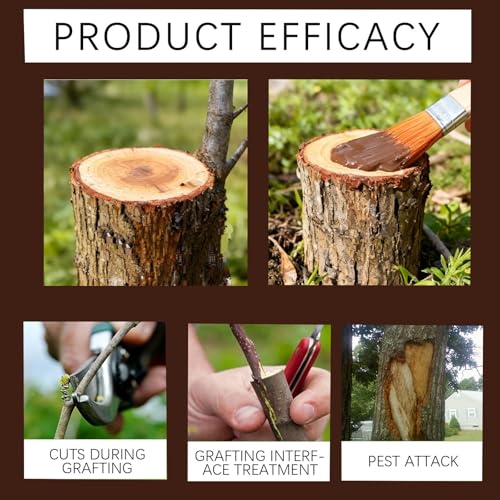 Zriechs Tree Wound Pruning Sealer,Tree Wound Dressing with Brush, Bonsai Cut Paste, Trees Grafting Supplies, Pruning Sealer for Bonsai, Fruit Trees, Roses (1 PCS,100 g) - Image 5