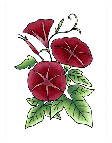 Copic Marker Sketch Color Fusion Markers CSCF 3 3Pack Red - Image 3