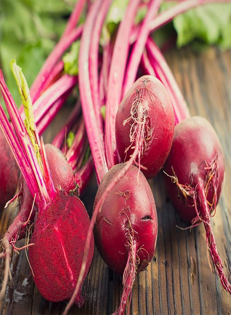 GGOOT 100pcs Unique Popular Beet Seeds Easy Planting DIY Garden Decoration Cultivate Planting Interest Create Beautiful Environment - Image 2