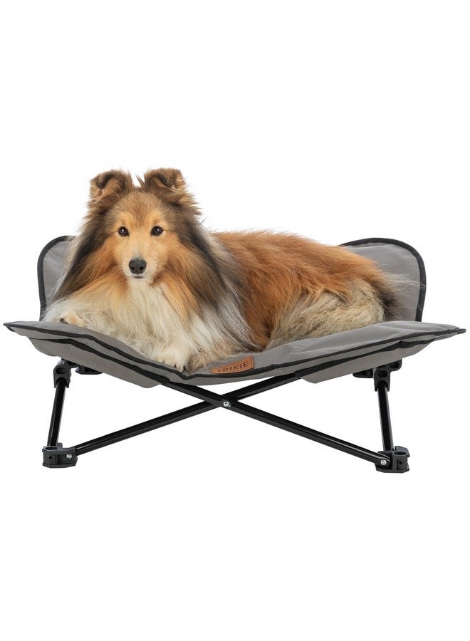 تريكسي سرير تخييم للكلاب، سرير مرتفع للكلاب، سرير مبطن قابل للطي للحيوانات الأليفة، كرسي سفر مرتفع للكلاب الصغيرة والمتوسطة الحجم - Image 2