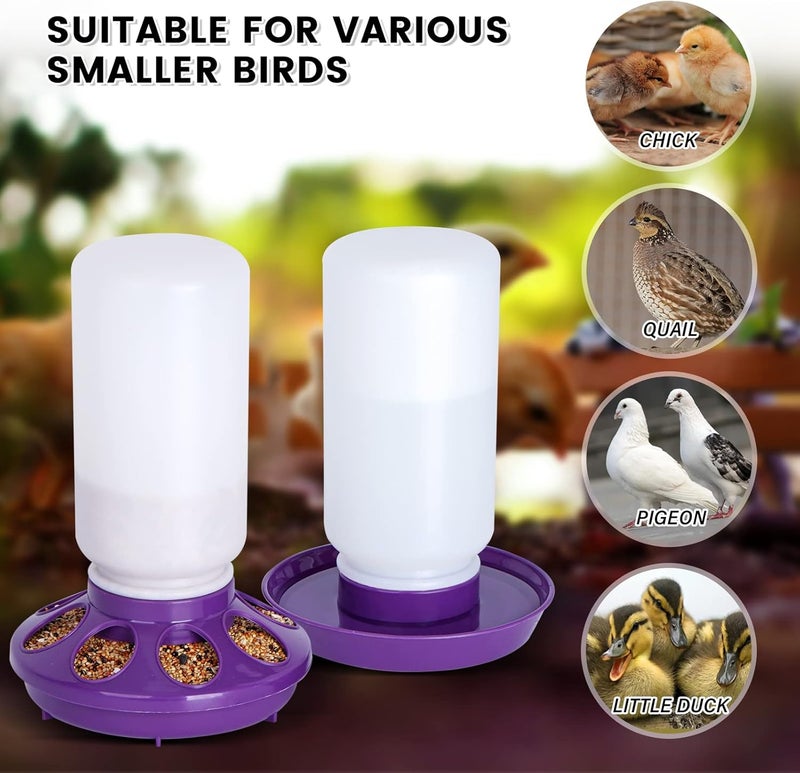 NAOEDEAH Chick Feeder and Waterer Set no Waste Chicken Water Dispenser 1L Chicken Water Feeder Poultry Waterer Baby Chick Duckling Supplies Starter Kit (Purple) - Image 3