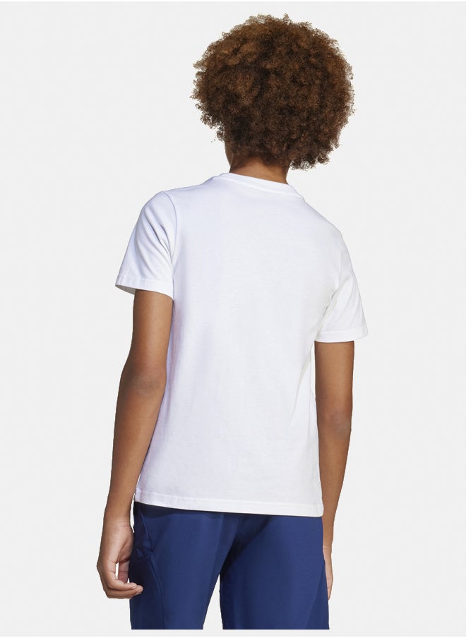 messi name&number men's graphic t-shirt